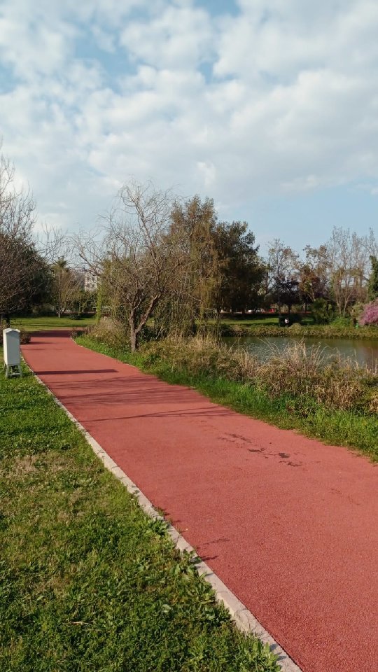Track and field training day